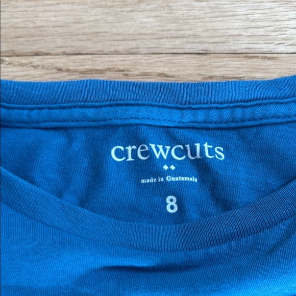 Crewcuts Boys Blue Long Sleeve Shirt - Picture 2 of 2